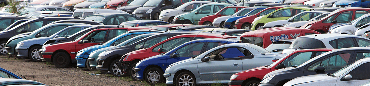 Get Access to bid on thousands of vehicles 